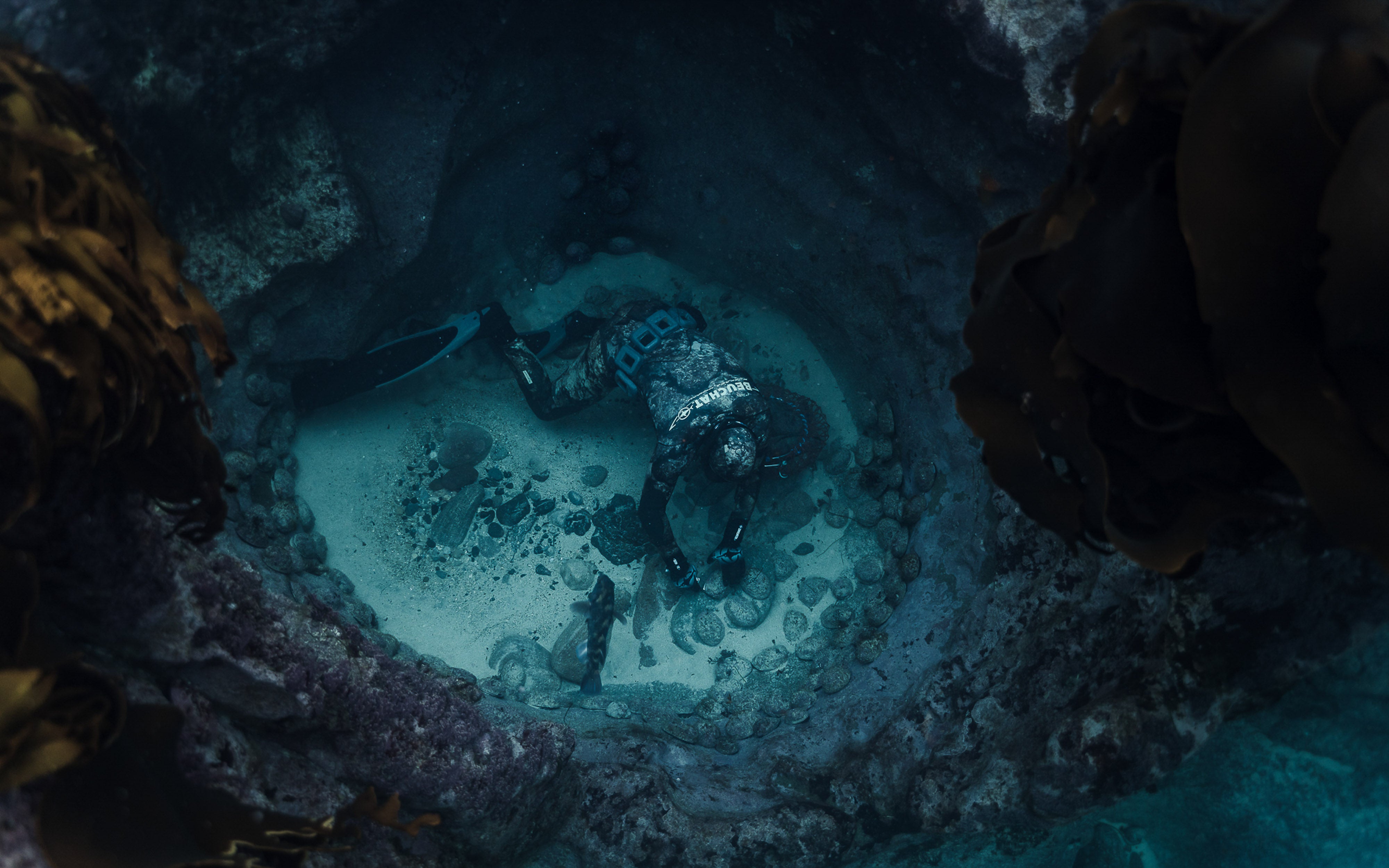 Spearfisher exploring underwater reef in New Zealand, representing the hydration benefits of Dusky Electrolyte Capsules. 